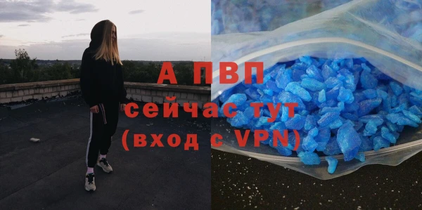 ECSTASY Балахна