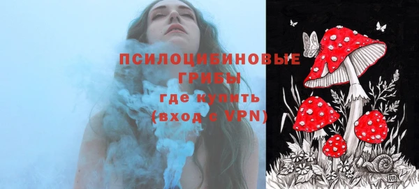 ECSTASY Балахна