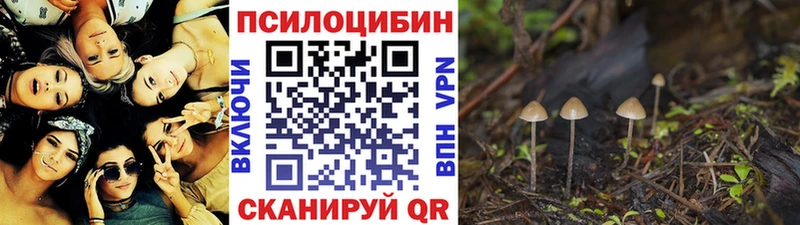 цены наркотик  Себеж  Псилоцибиновые грибы мухоморы 